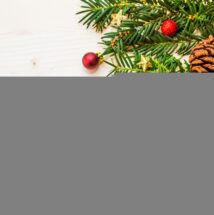 berry, branch, christmas